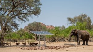EHRA community water points support better coexistence between humans and desert elephants in Namibia.