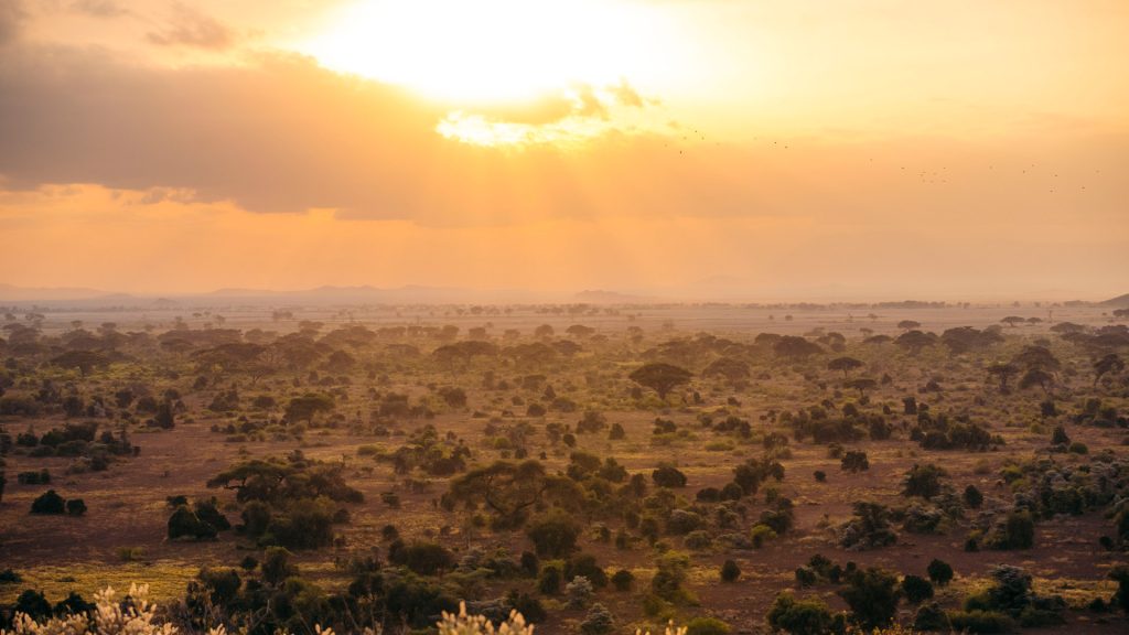 A vast landscape with the sun starting to set over the horizon.